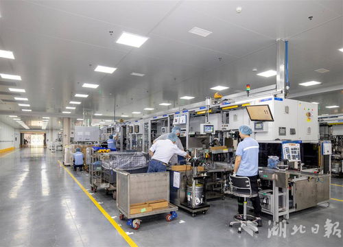 世界500強采埃孚五年三度追投，武漢成其軟件戰略布局核心